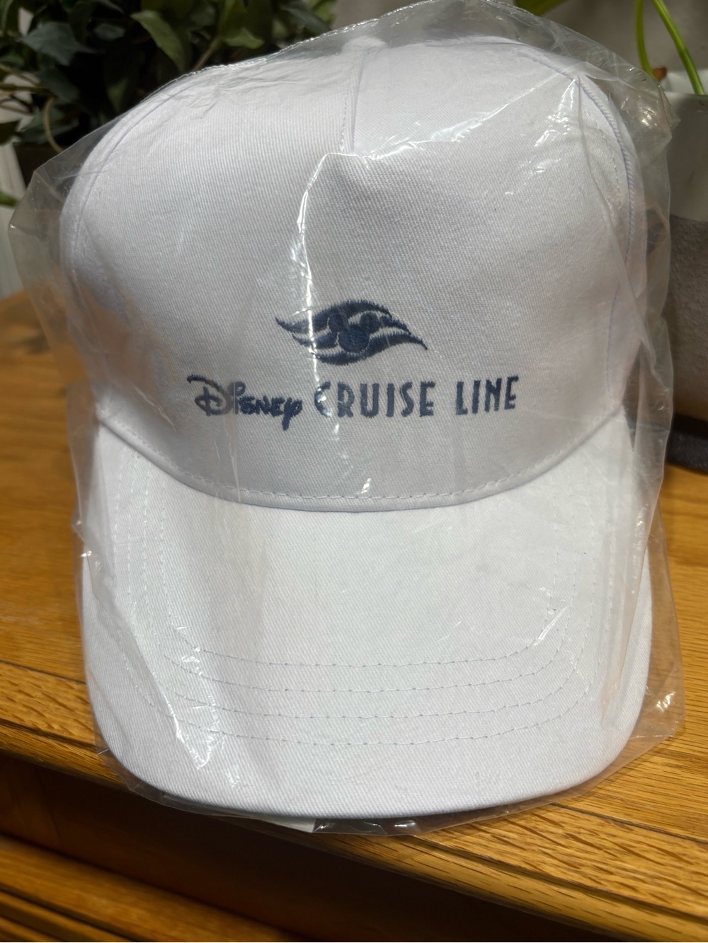Disney Cruise Line White Embroidered Baseball Cap Adjustable DCL Logo New OS